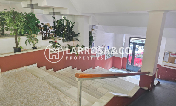 Reventa - Apartamento - Torrevieja - Playa del cura