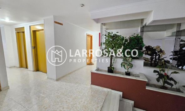 Reventa - Apartamento - Torrevieja - Playa del cura