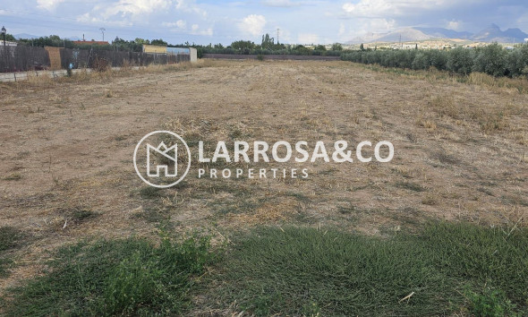 Herverkoop - Land - Albolote