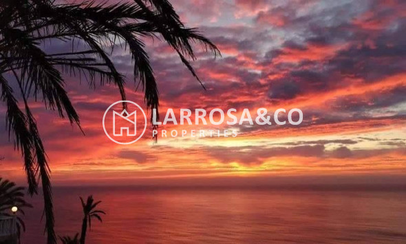 Nieuwbouw Woningen - Bungalow - Torrevieja - Altos del Sol