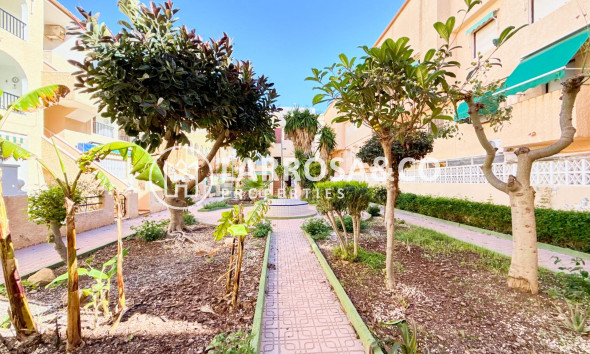 Herverkoop - Bungalow - Torrevieja - Los Europeos