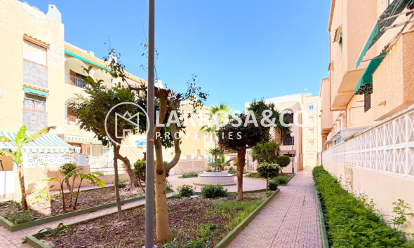 Herverkoop - Bungalow - Torrevieja - Los Europeos