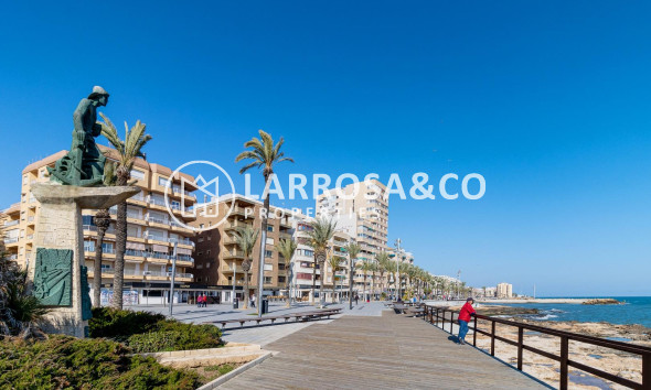 Вторичный рынок - Квартира - Торревьеха - Playa del cura