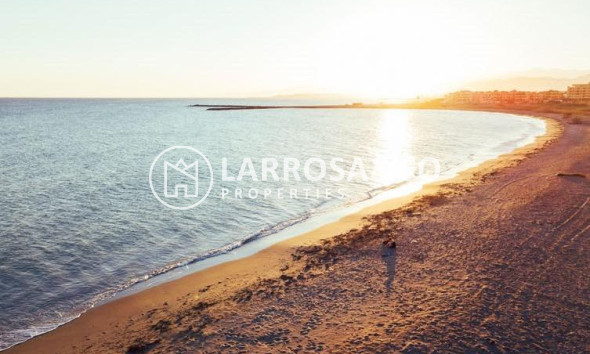 Nouvelle Construction - Apartment - Almerimar