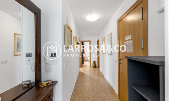 Herverkoop - Apartment - Torrevieja - Playa del cura