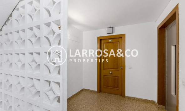 Herverkoop - Apartment - Torrevieja - Playa del cura
