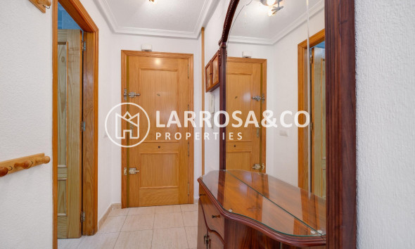 Herverkoop - Apartment - Torrevieja - Estacion de autobuses