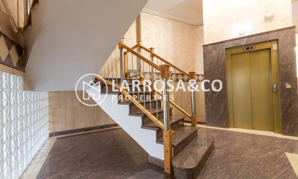 Resale - Apartment - Orihuela - Zona Centro