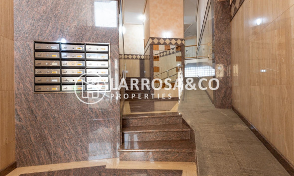 Resale - Apartment - Orihuela - Zona Centro