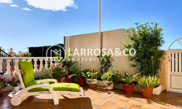 Reventa - Bungalow - Torrevieja - Los Europeos