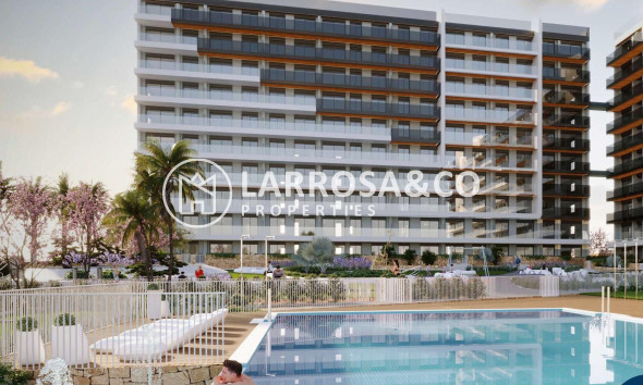 Obra Nueva - Atico - Torrevieja - Punta Prima