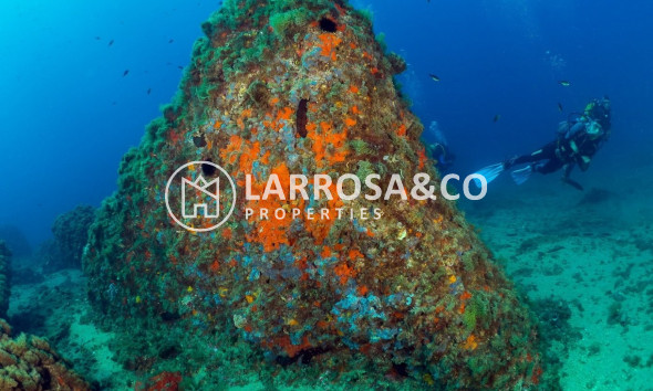 Obra Nueva - Atico - Águilas - Isla del fraile
