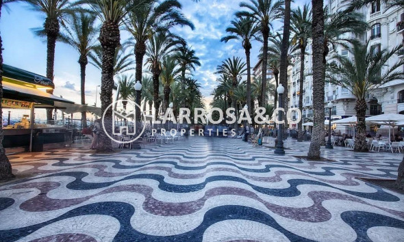 Новостройка - Квартира - Alicante - Benalua