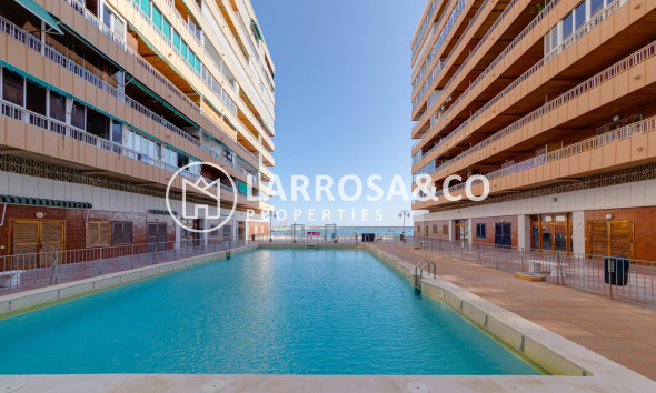 Reventa - Apartamento - Torrevieja - Acequion