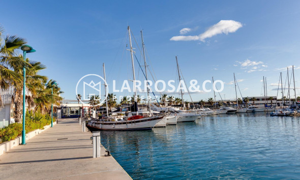 A Vendre - Apartment - Torrevieja - Centro