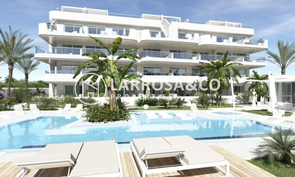 Obra Nueva - Atico - Orihuela costa - Lomas de Cabo Roig