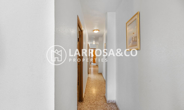 Reventa - Apartamento - Torrevieja - Playa del cura