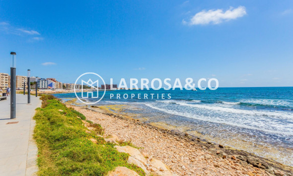 Reventa - Apartamento - Torrevieja - Playa del cura