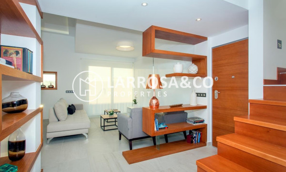 new-building-house-el-raso-entrance-living-room-on2082