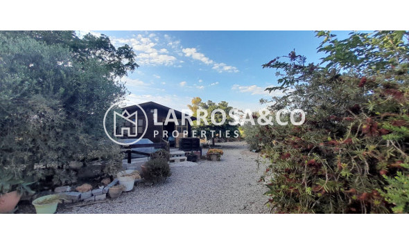 Reventa - Casa de campo - Dolores