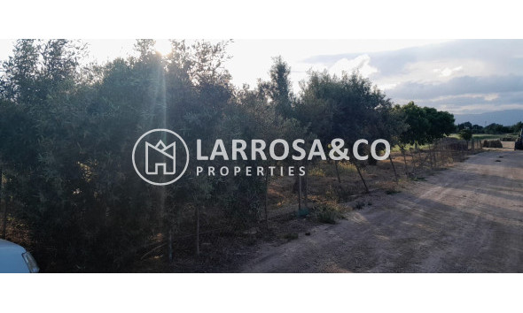 Reventa - Casa de campo - Dolores