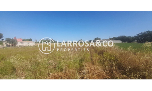 A Vendre - Country house - Dolores