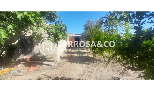 A Vendre - Country house - Dolores