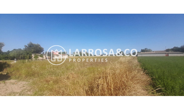 A Vendre - Country house - Dolores