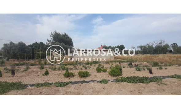 A Vendre - Country house - Dolores