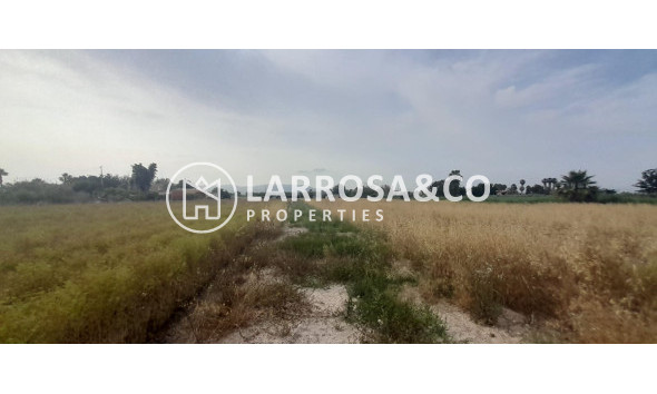 A Vendre - Country house - Dolores