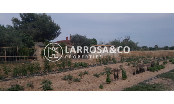 A Vendre - Country house - Dolores