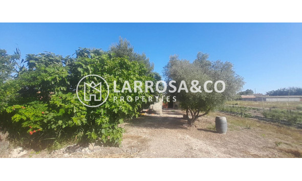 A Vendre - Country house - Dolores