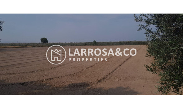 Вторичный рынок - Загородный дом - Долорес