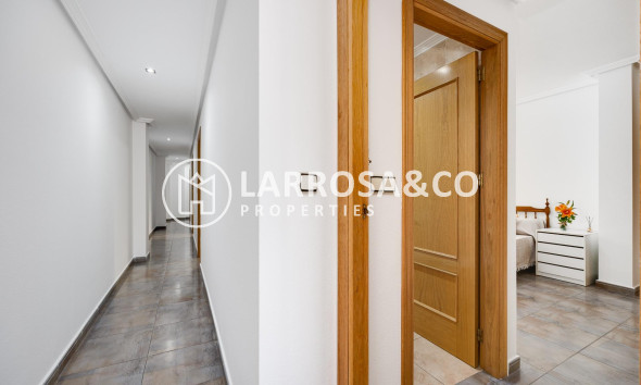 A Vendre - Penthouse  - Torrevieja - Centro