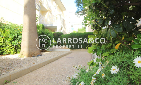 A Vendre - Apartment - Torrevieja - La veleta