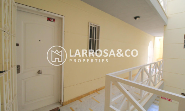 A Vendre - Apartment - Torrevieja - La veleta
