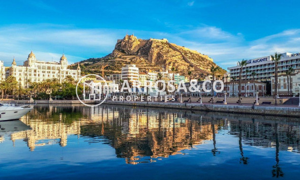 New build - Apartment - Alicante - Centro