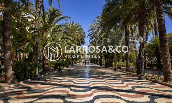 New build - Penthouse  - Alicante - Centro