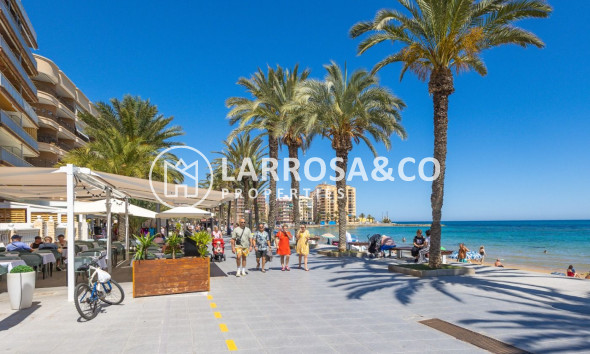 A Vendre - Apartment - Torrevieja - Playa del cura