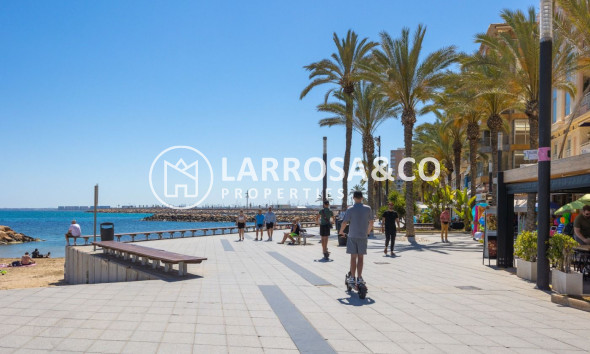 A Vendre - Apartment - Torrevieja - Playa del cura