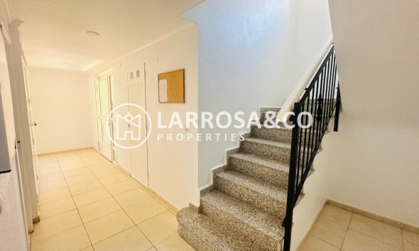 Herverkoop - Apartment - Torrevieja - Nueva Torrevieja