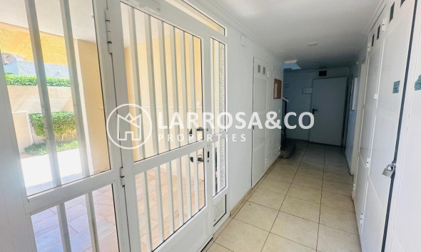 Herverkoop - Apartment - Torrevieja - Nueva Torrevieja