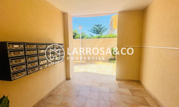 Herverkoop - Apartment - Torrevieja - Nueva Torrevieja