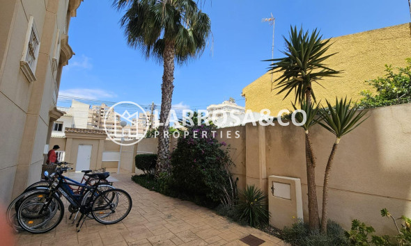 Herverkoop - Apartment - Torrevieja - Nueva Torrevieja