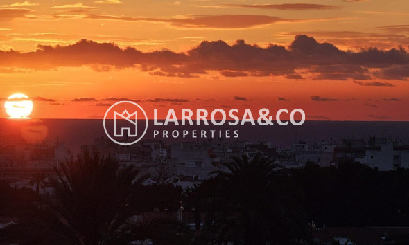 Herverkoop - Apartment - Torrevieja - Nueva Torrevieja