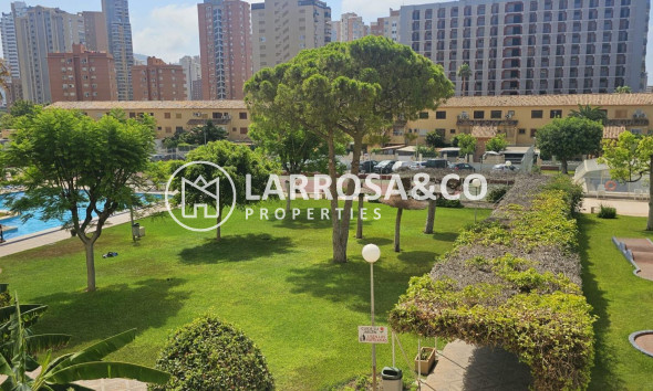 Вторичный рынок - Квартира - Benidorm