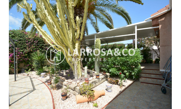 Reventa - Chalet - Ciudad Quesada - Lo Pepin