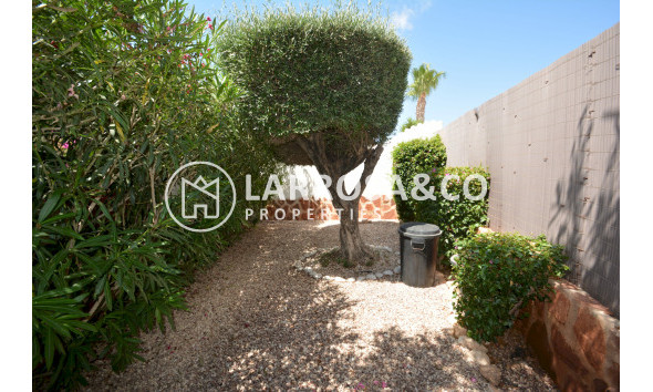 Reventa - Chalet - Ciudad Quesada - Lo Pepin