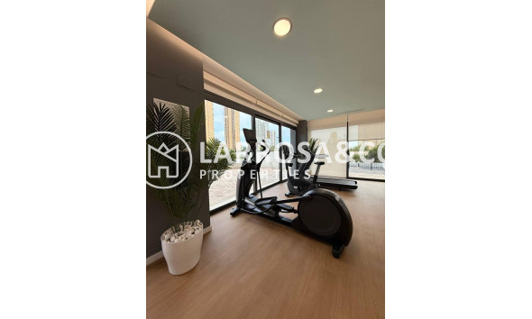 A Vendre - Apartment - Benidorm - Playa de Poniente