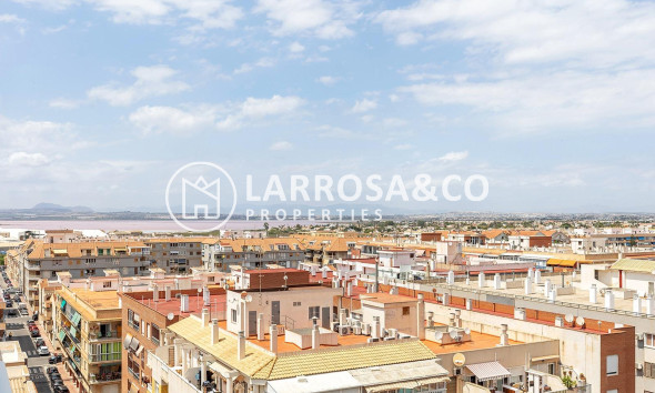 Вторичный рынок - Квартира - Торревьеха - Acequion